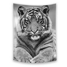 단호박라떼포스터