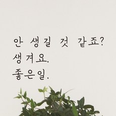 글씨유튜버나인