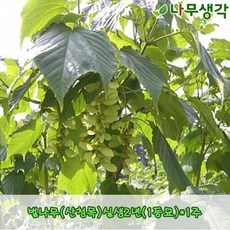 7edfb2d7ee879b9e6596191521881ad87bd7812057ab0677355912dc4c2f.jpg