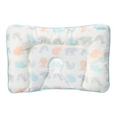 2021필로우라이언