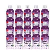 웰그린 스위츠 블루베리아이스티, 20개, 340ml