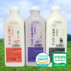빛고을장터 HACCP 무항생제 수제 플레인요거트 블루베리 1000mlx2병, 1box, 1. 플레인 요거트 1L 2병