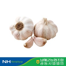 [남해조공] 보물섬이 키운 햇 통마늘 3kg 상, 1개