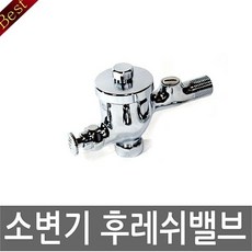 벽배수형양변기