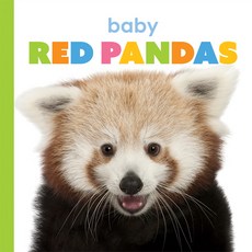 Baby Red Pandas Paperback, Creative Paperbacks