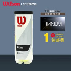 (관부가세포함) 손목보호대 Wilson Wilson Tennis Method Network US Network US Open Training Tennis Competition Ball Durabl-22027583377
