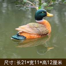 개구리연못