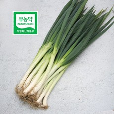 국내산 무농약 대파 1kg 500g, 1봉, 01_국내산 대파 500g