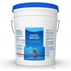 풀 &amp; 스파 pH 환원기 pH 다운 비황산나트륨 무리아산 대체 - 50 lb 파일 : 정원 &amp; 아웃도어, 1