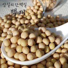 [유명농산] 국산 백태 2kg 메주콩 2023년산 전북 고창군, 메주콩2kg, 1개