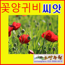 f99cc9036399bd2f9ca97df1136bfd795dfc56c56341f39e901be1485ffb.png