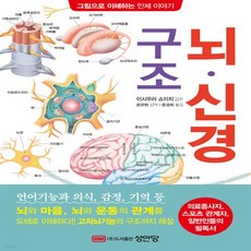 의학뇌구조그림