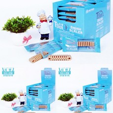 1개배송 브러쉬 스케일러 치아+관절 8G 50개 애완견칫솔 개칫솔 반려견칫솔