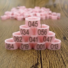 100pcs 버드 클립 링 ID 8mm 플라스틱 디지털 마크업 앵무새 비둘기 10 색 마킹 훈련 발 001-100, [12] 분홍색, 1개