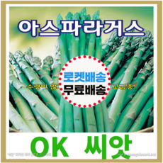 [OK씨앗] [아스파라거스] 아스파라거스씨앗 종자(오케이씨앗), 50립