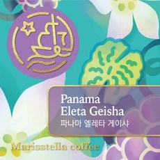 마리스텔라
