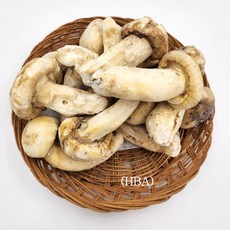 (청림송이 능이) 자연산 냉동송이버섯 (특품), 1개, 냉동송이/HBA/1kg