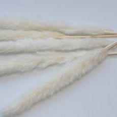 밍블랑 셀프인테리어 디퓨저재료 DIY 디퓨저 공병 섬유스틱 리필오일 디퓨저스틱, 1개, 미니팜파스(화이트) 5대