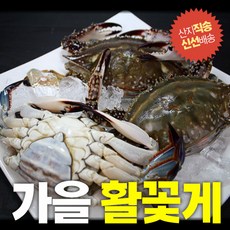 햇꽃게3kg