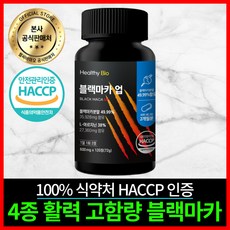 삼대오백 TOP01