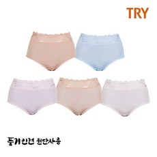 트라이인견브리프