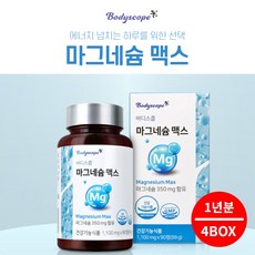 안면 얼굴 손떨림 수전증 종아리 다리 어깨 근육 경련 떨림 방지 이완 기능 개선 에 좋은 마그네슘 magnesium 영양제, 4BOX(1년분), 1g, 4박스