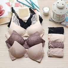 꼴레지오니8종