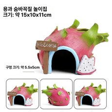 조이앨빈 도마뱀집꾸미기 크레스티드게코 집꾸미기, 1개, 용과 피하는 집