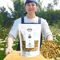 반듯한청년 캐모마일 원물티 100g 허브 꽃 차 리필팩, 1개입, 1개
