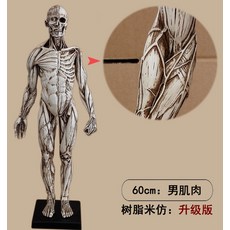 근골격계물리치료중재학