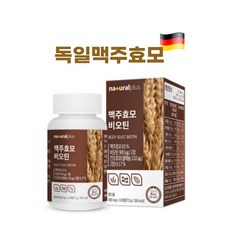 맥주효모환효능