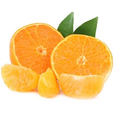 56fa9acd9706b03c93b10e1c1b7ac3068c5014719499484eec9cf7cf0dfd.jpg