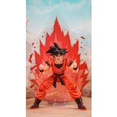 나가사와화보집