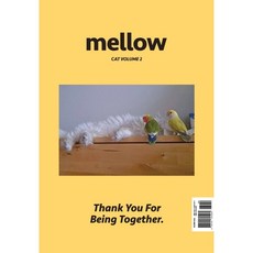 mellow잡지