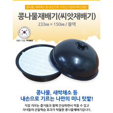 카톡콩나물키트