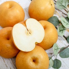 부산베이킹체험