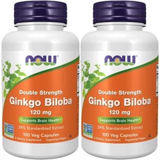 나우푸드 징코빌로바 은행잎 120mg, 100정, 2개