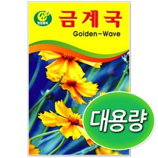 대용량 금계국 300g