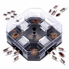 GEEKISTORE 바퀴벌레 트랩 벌레 잡기 도구 상자 가정 실내 주방 안전 물리적 버그 크기 통과 킬, [01] transparent, 1개