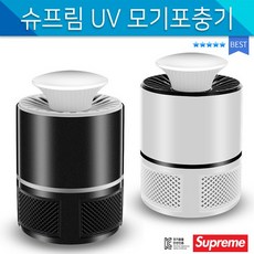 6월12일대전공연