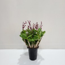 4f18532ea88f19a6e27f48960ac8412d7cd0b07df88fd43c22ffd52fd42c.jpg