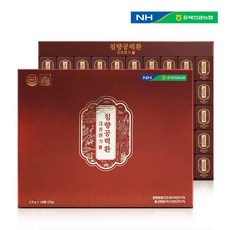충북인삼농협 침향공력환 (3.75g x100환), 1박스, 단품, 100개