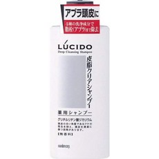 남성 샴푸 LUCIDO (루시) 피지 클리어 약용 샴푸 (의약외품) 300mL, 1