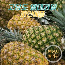 고당도 파인애플 S사이즈 (1통당 1.2kg내외), 1개, 파인애플 S사이즈 4통