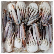 대게만찬상품권