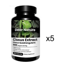 디어네이쳐시서스