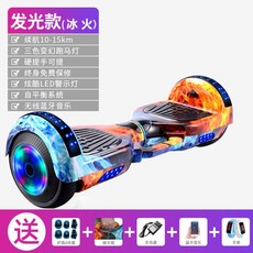 전동이륜평행차