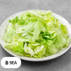 롯데푸드 양상추 슬라이스, 9개, 800g