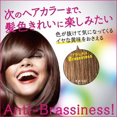 Liese Prettia European Hair color 유럽의 헤어 칼라 스타일 헤어컬러, 1개, Brown