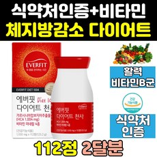 지방분해약